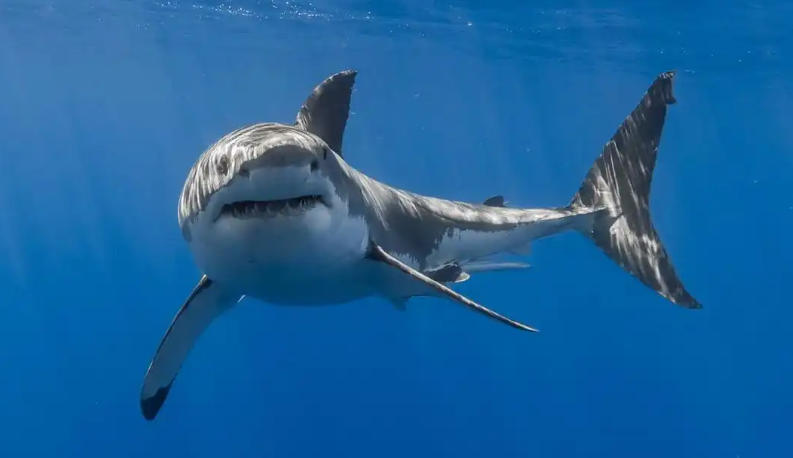 杭州天杭強化生態材料廠輪播圖4